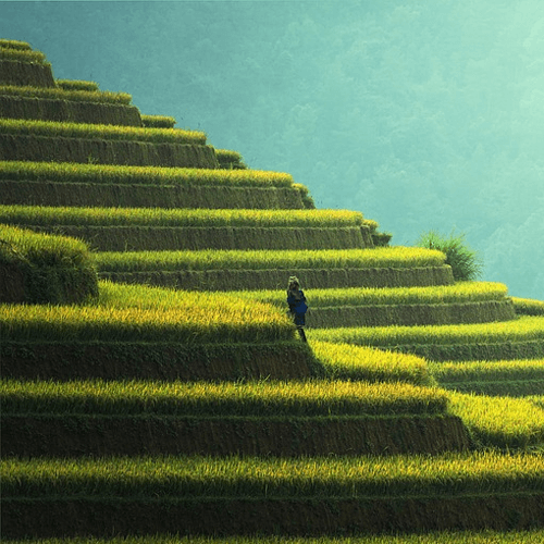 Travel-Image_0003_4-1